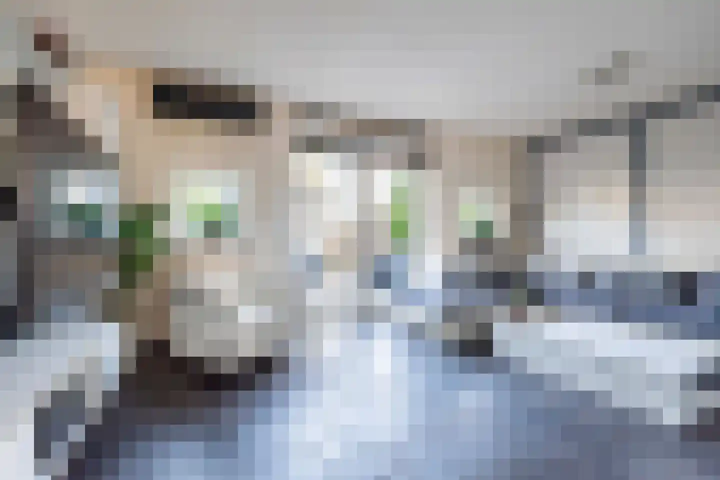 Burgemeester van Tuyllpl 15 Terborg thumbnail 11