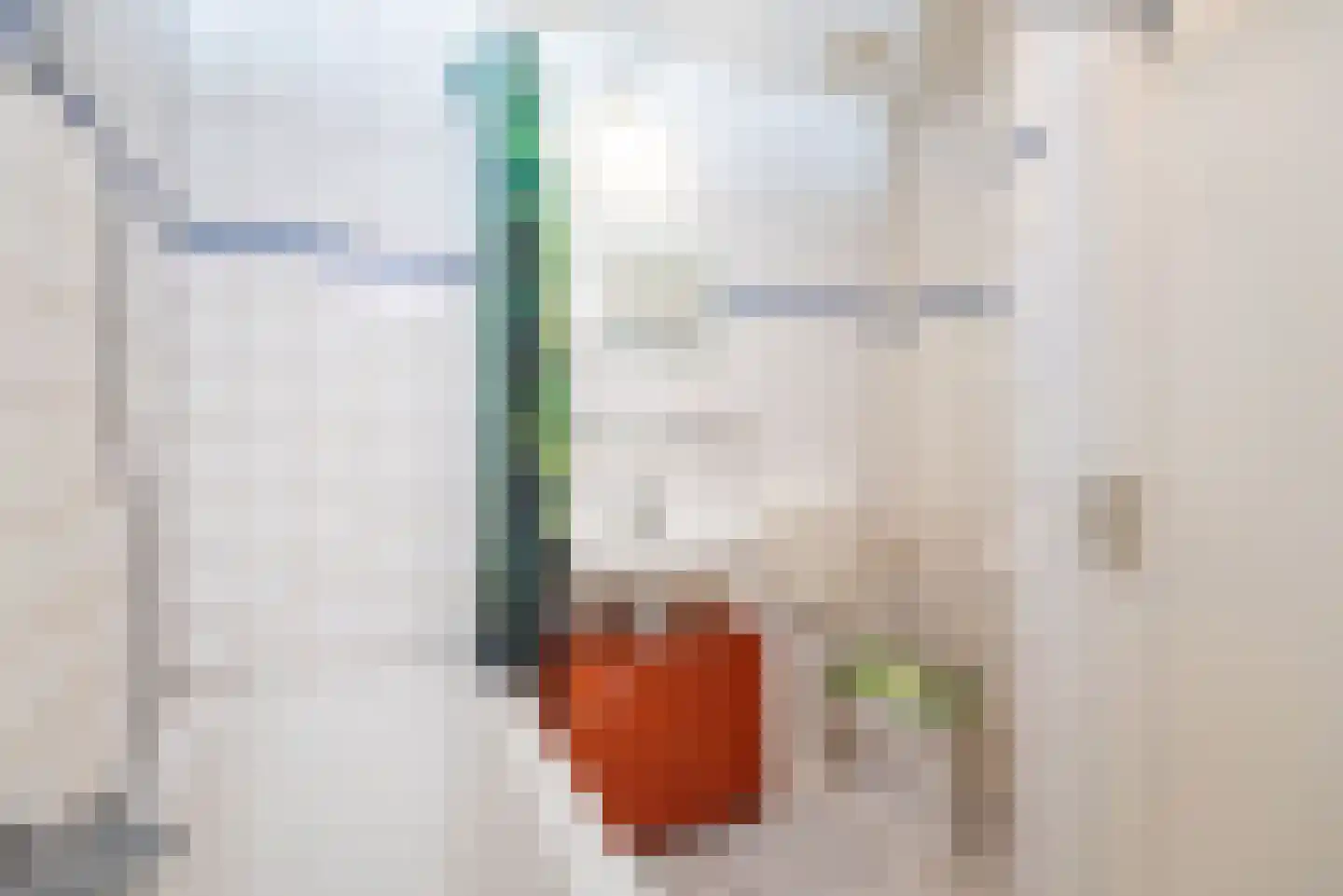Burgemeester van Tuyllpl 15 Terborg thumbnail 20