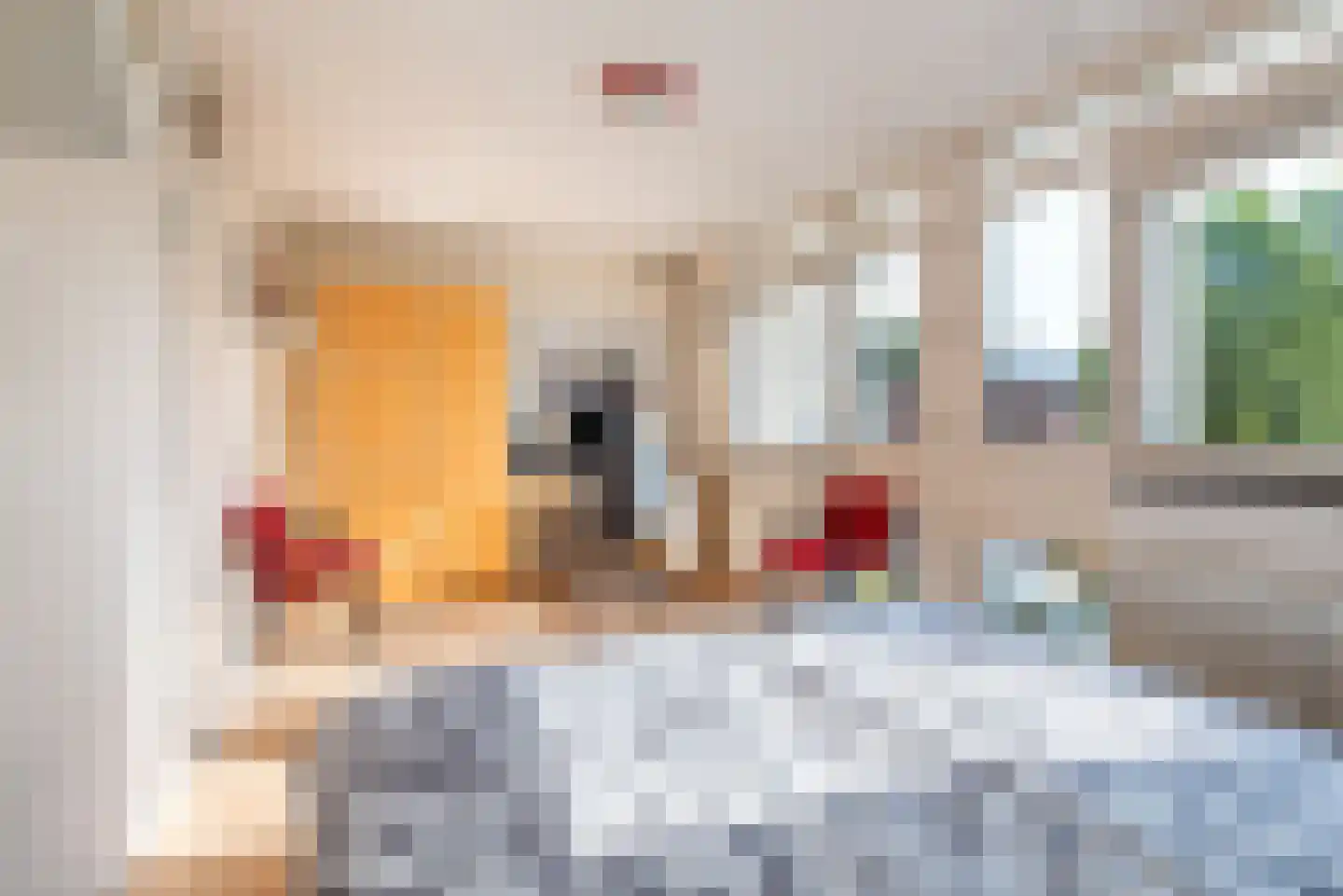 Burgemeester van Tuyllpl 15 Terborg thumbnail 24