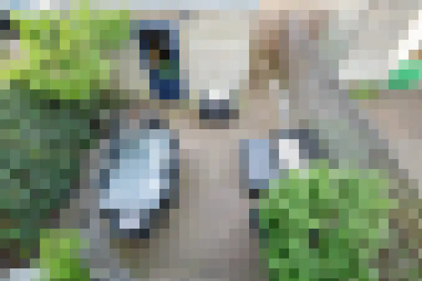 Burgemeester van Tuyllpl 15 Terborg thumbnail 28