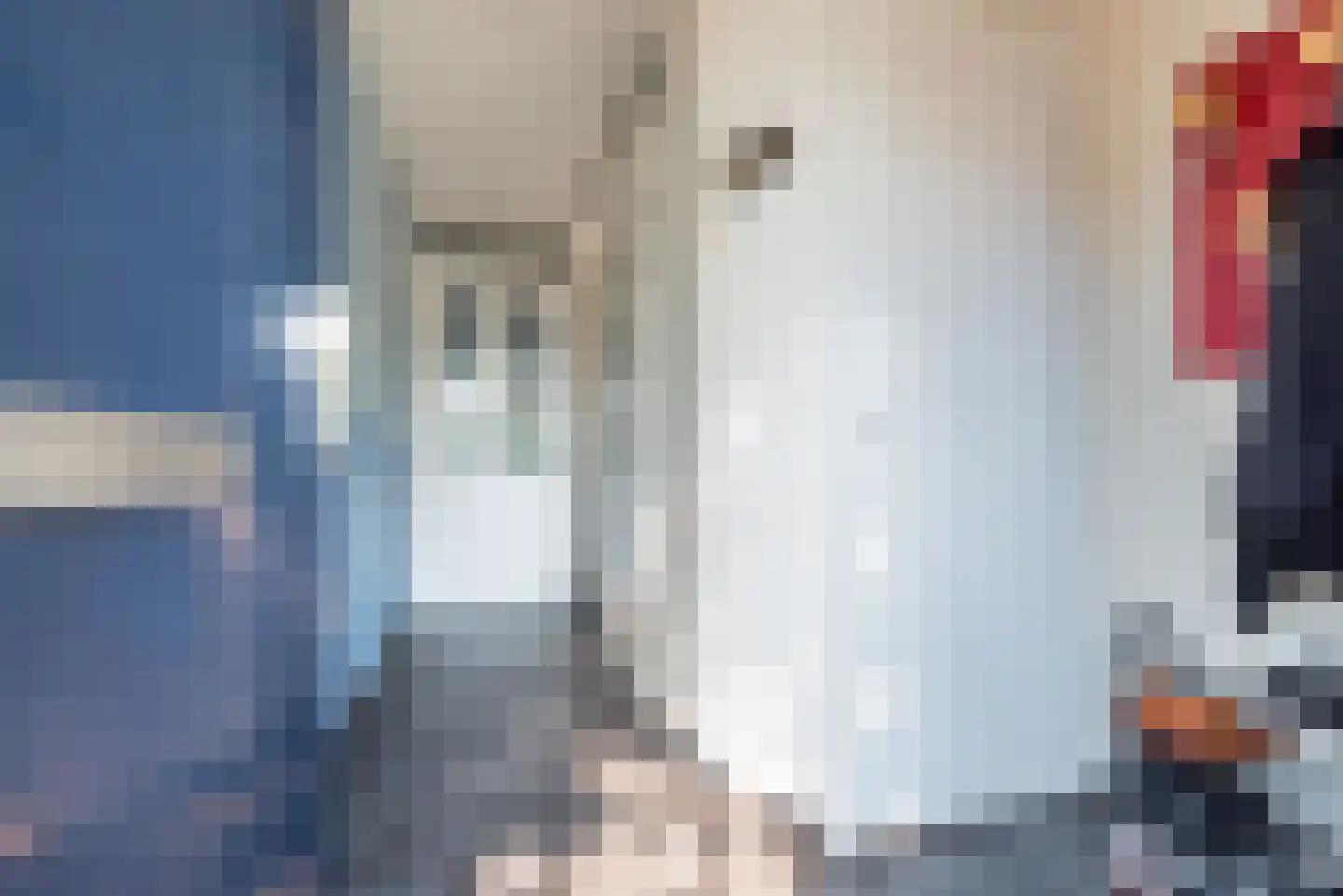 Burgemeester van Tuyllpl 15 Terborg thumbnail 6