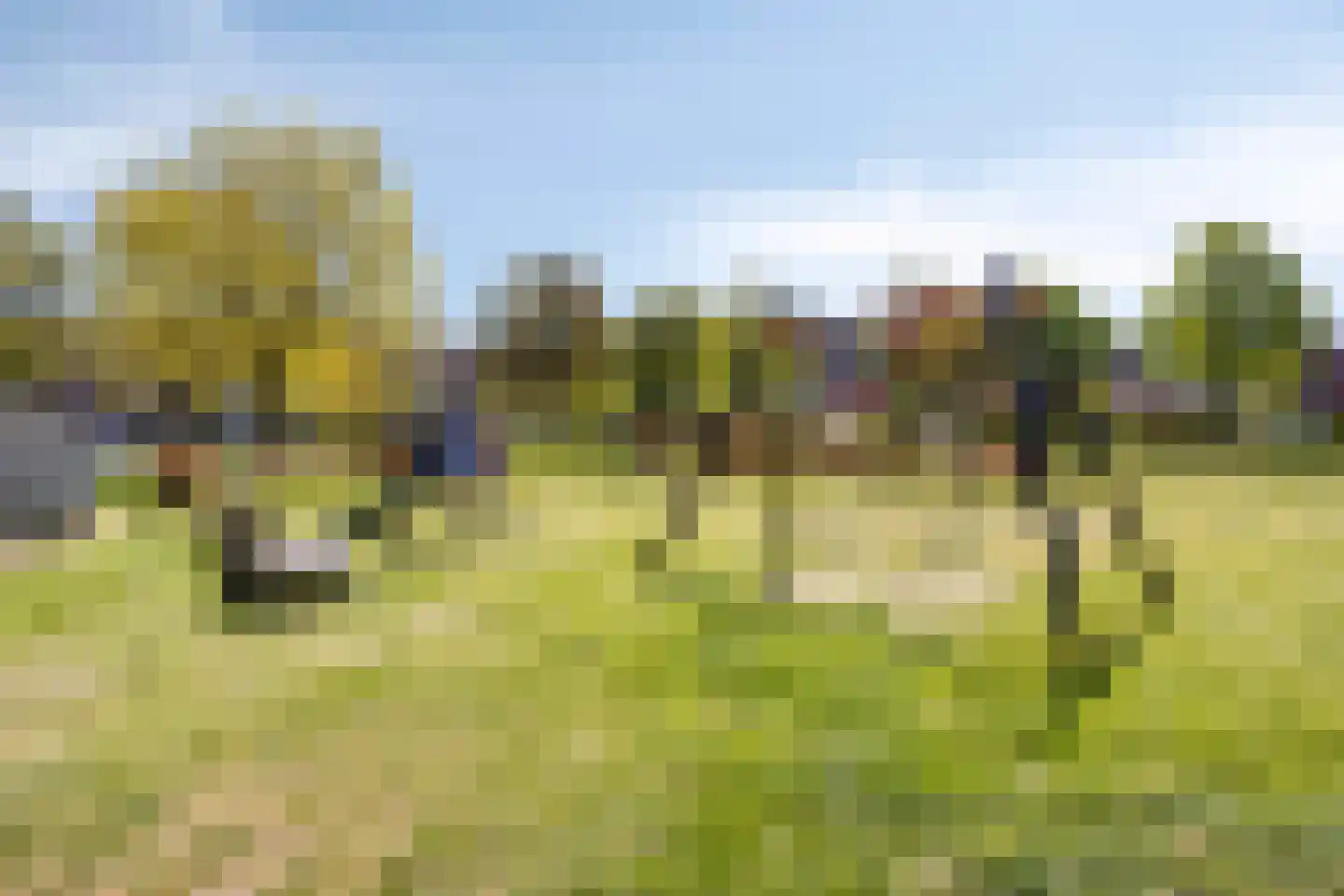 Burgemeester van Tuyllpl 16 Terborg thumbnail 25