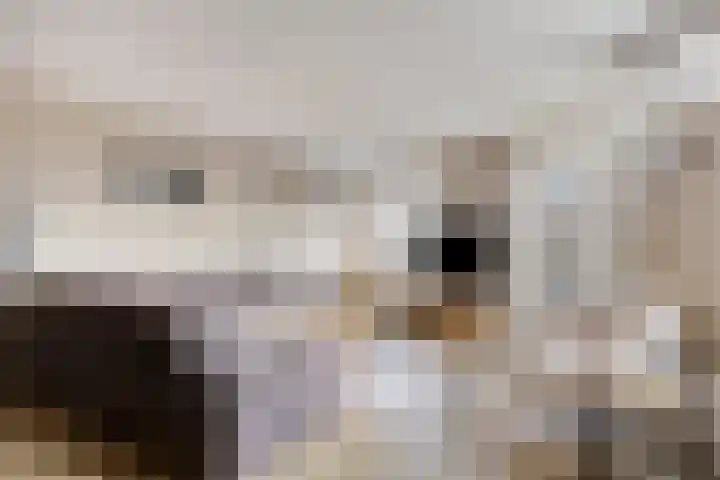 Burgemeester van Tuyllpl 25 Terborg thumbnail 10