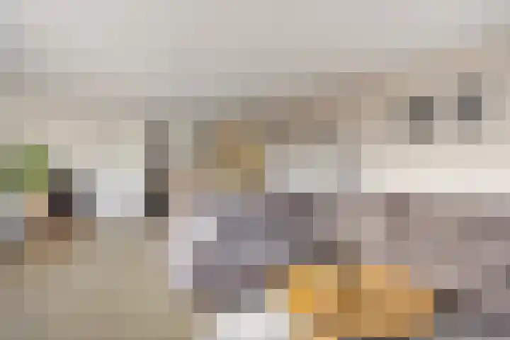 Burgemeester van Tuyllpl 25 Terborg thumbnail 11