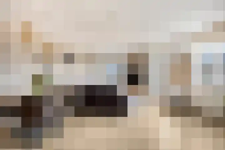 Burgemeester van Tuyllpl 25 Terborg thumbnail 13