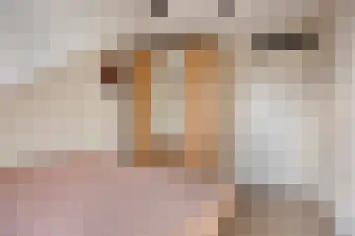 Burgemeester van Tuyllpl 25 Terborg thumbnail 21
