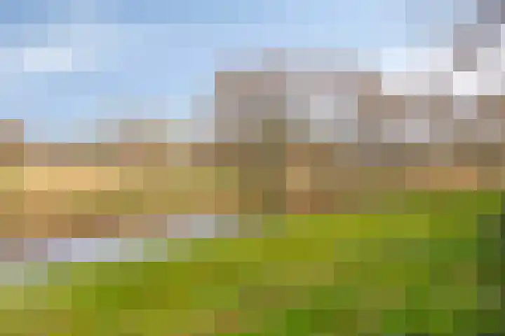 Burgemeester van Tuyllpl 25 Terborg thumbnail 26