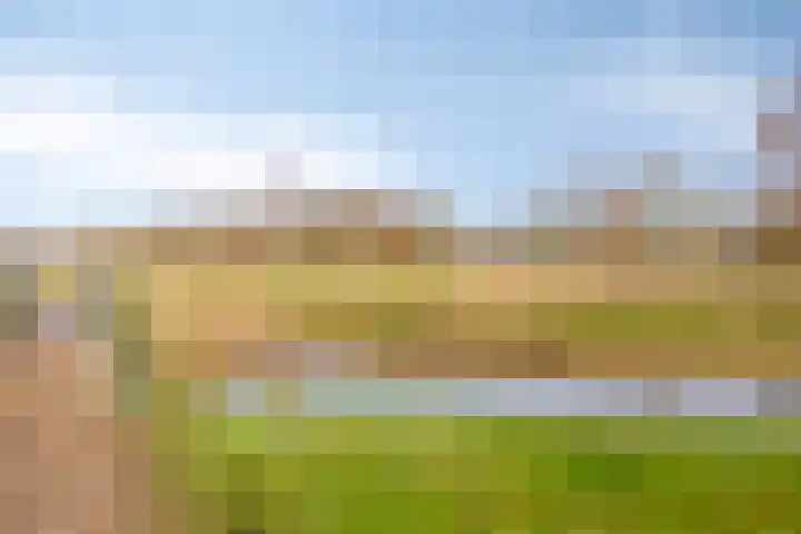 Burgemeester van Tuyllpl 25 Terborg thumbnail 27