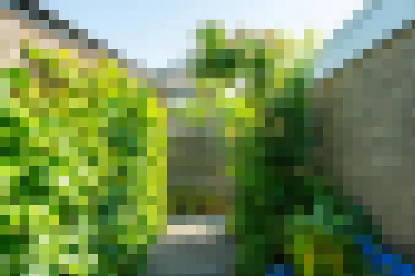 Burgemeester van Tuyllstraat 23 Varsseveld thumbnail 41