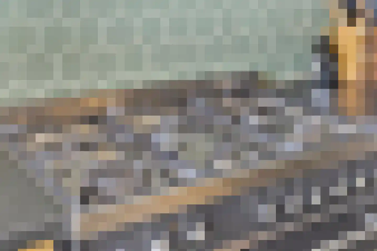 Burgemeester van Vleutenstraat 8 Zalk thumbnail 19