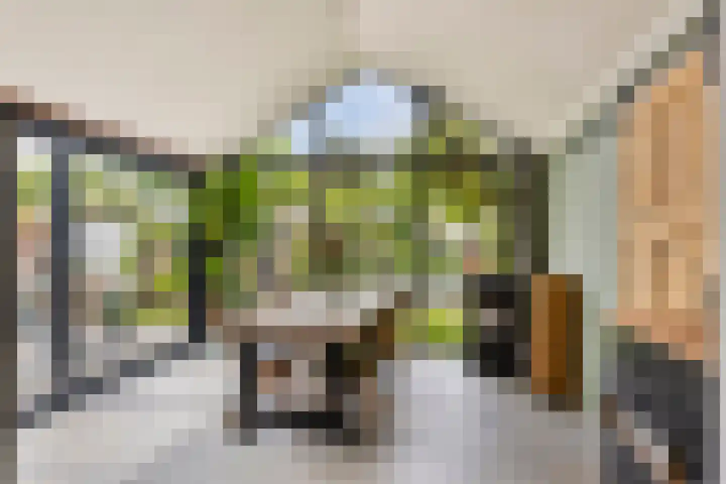 Burgemeester van Vleutenstraat 8 Zalk thumbnail 23