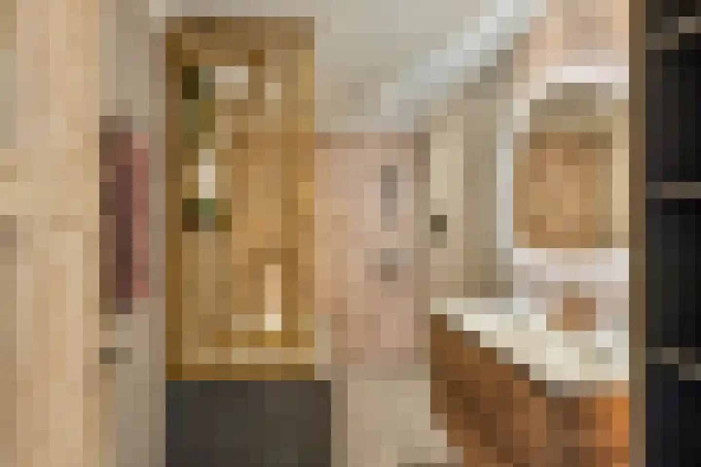 Burgemeester van Vleutenstraat 8 Zalk thumbnail 28