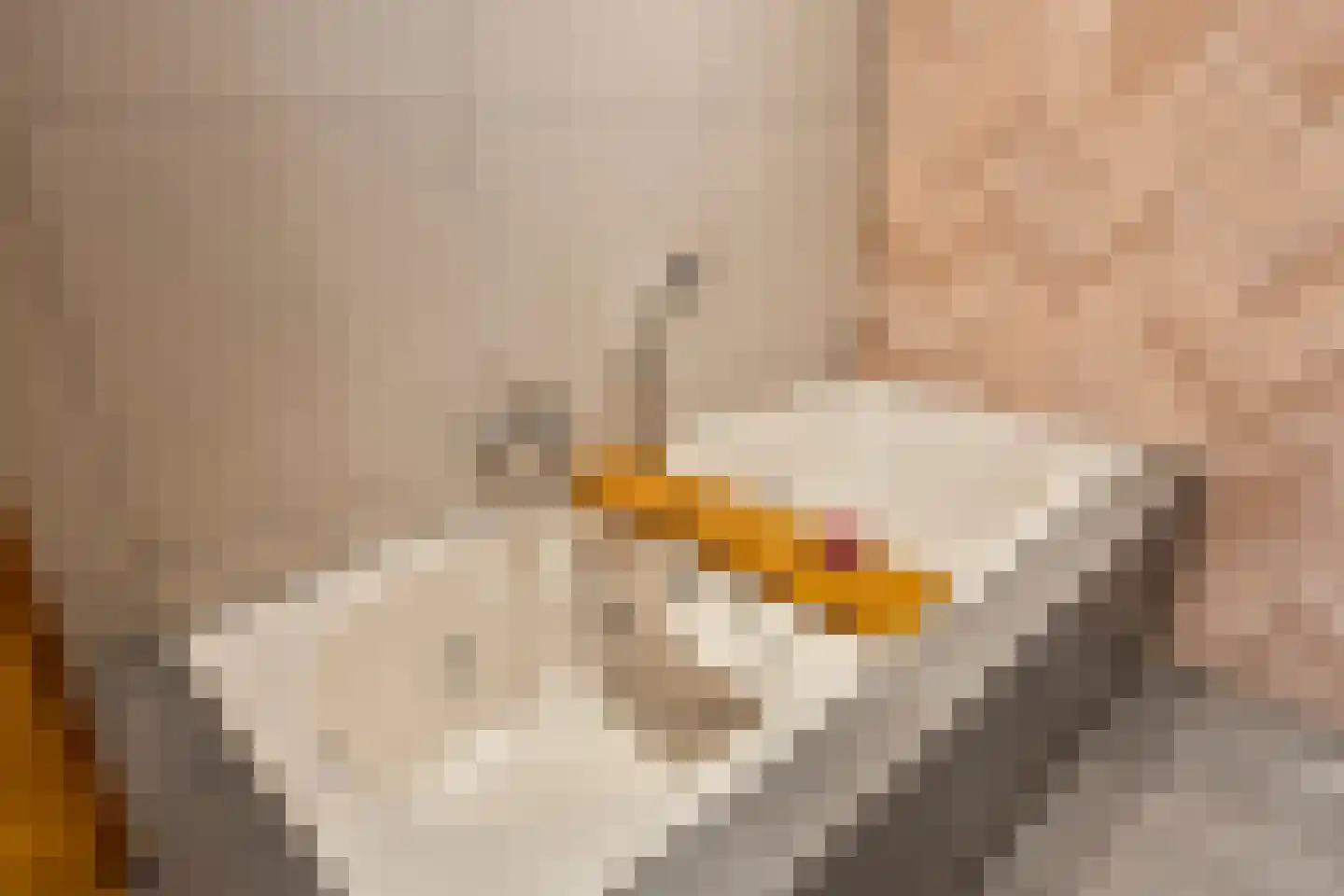 Burgemeester van Vleutenstraat 8 Zalk thumbnail 30
