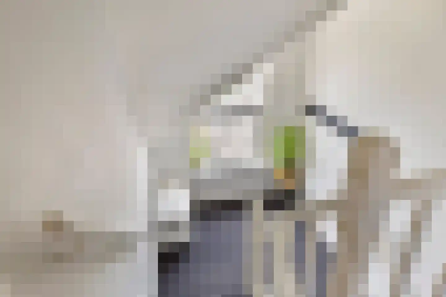 Burgemeester van Vleutenstraat 8 Zalk thumbnail 37