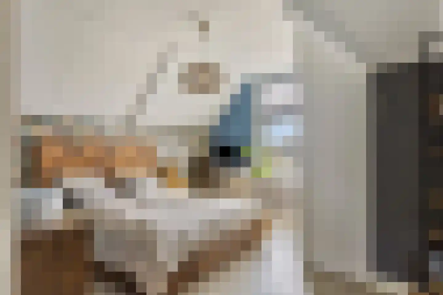 Burgemeester van Vleutenstraat 8 Zalk thumbnail 39