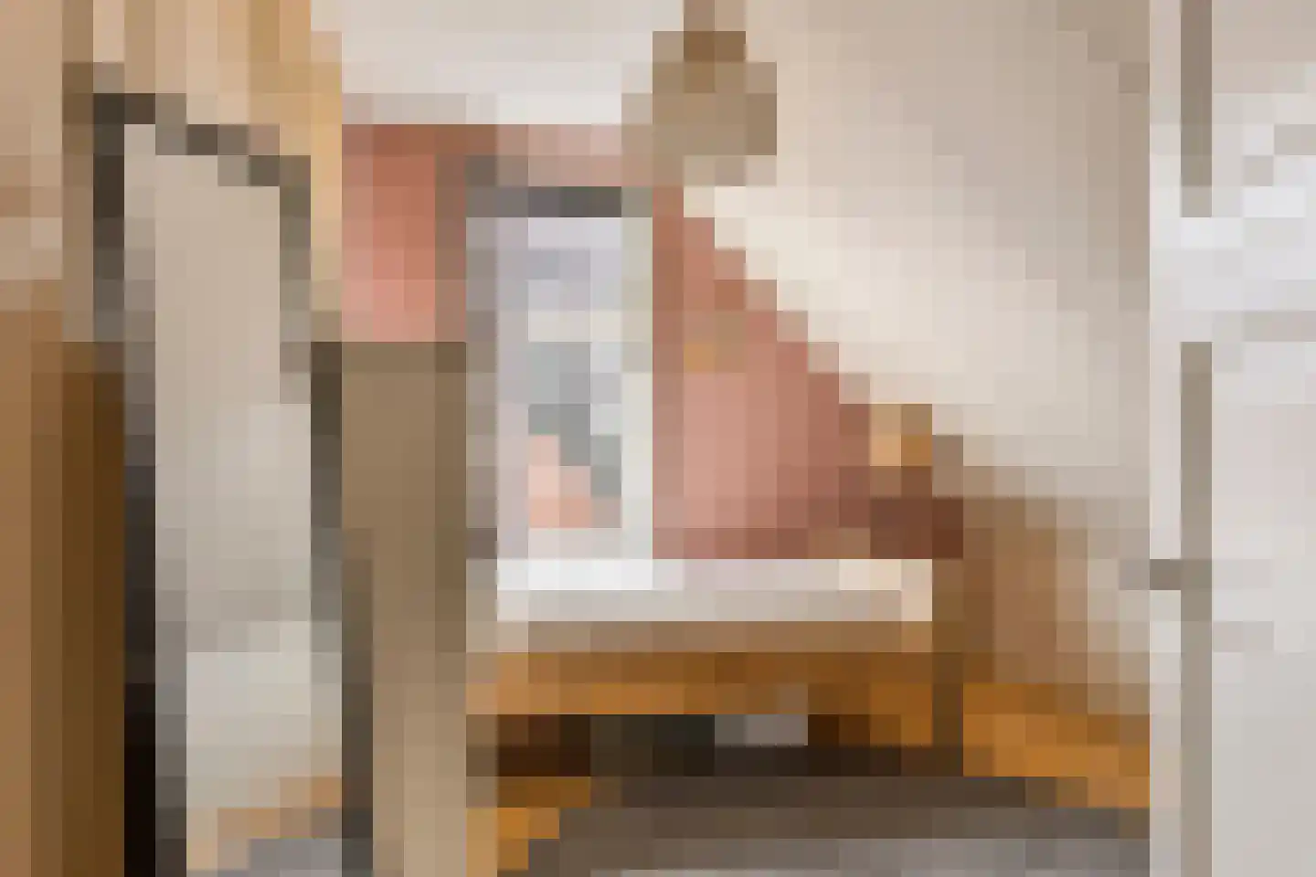 Burgemeester van Vleutenstraat 8 Zalk thumbnail 41