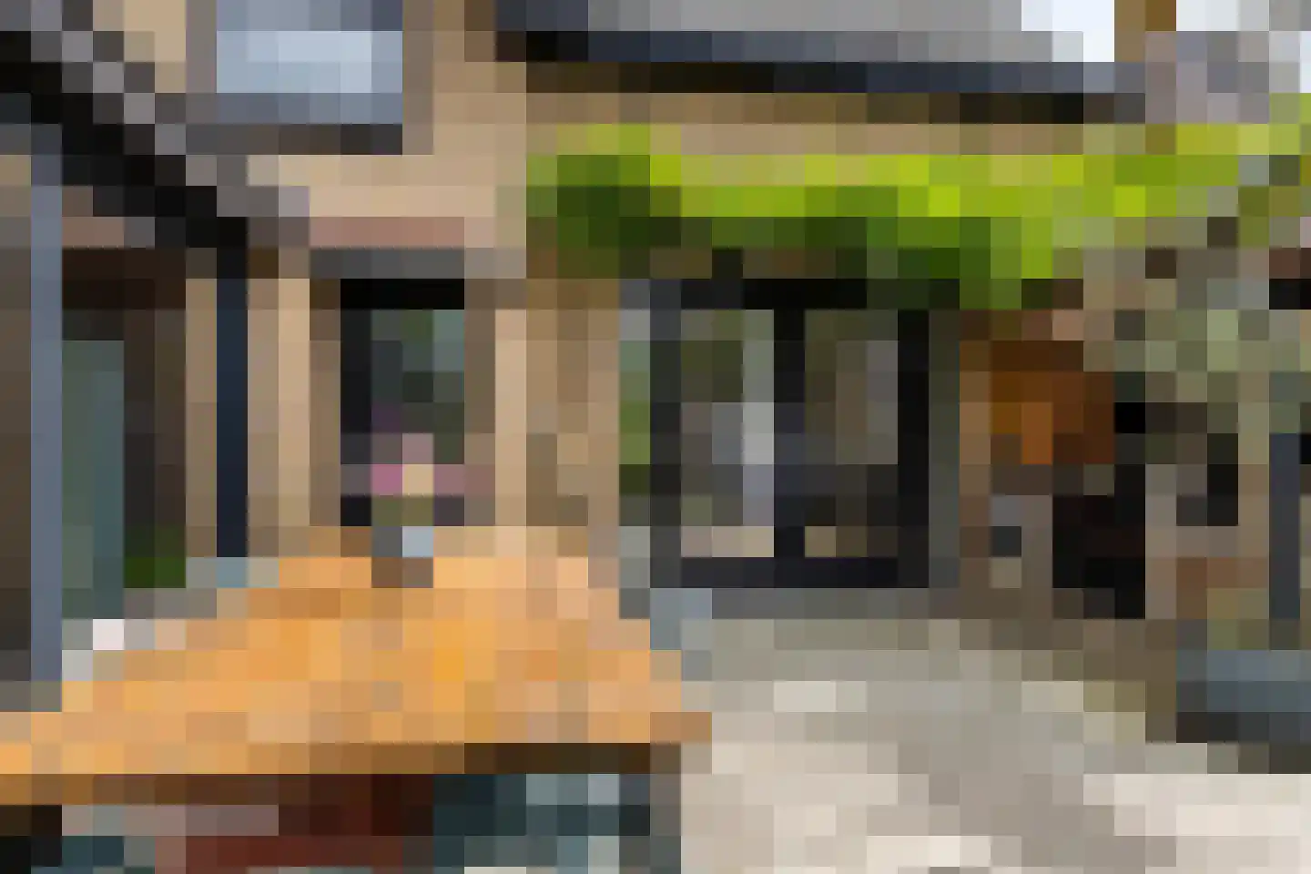 Burgemeester van Vleutenstraat 8 Zalk thumbnail 48