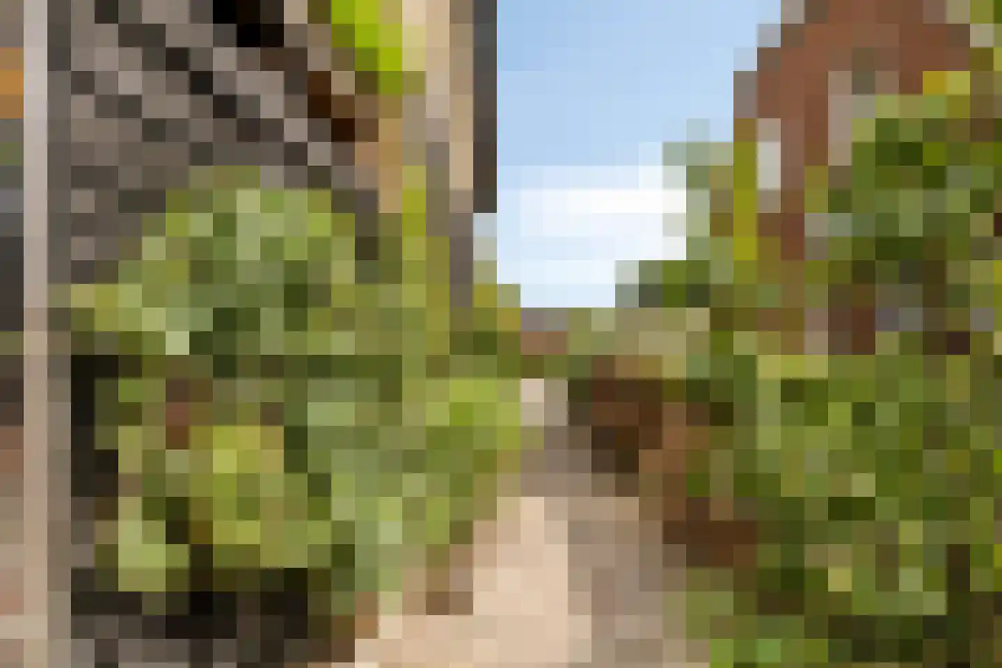 Burgemeester van Vleutenstraat 8 Zalk thumbnail 57