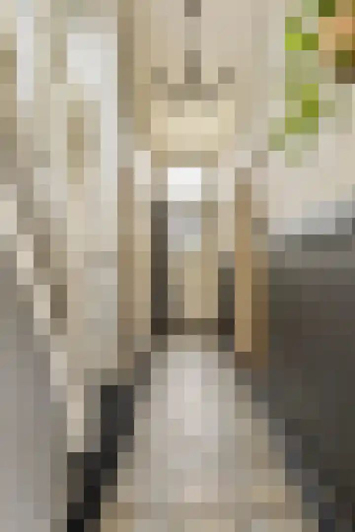 Burgemeester van Vleutenstraat 8 Zalk thumbnail 6