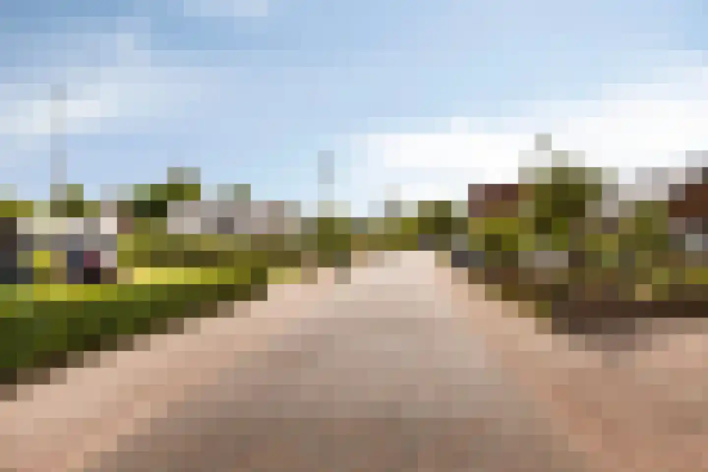 Burgemeester van Vleutenstraat 8 Zalk thumbnail 63