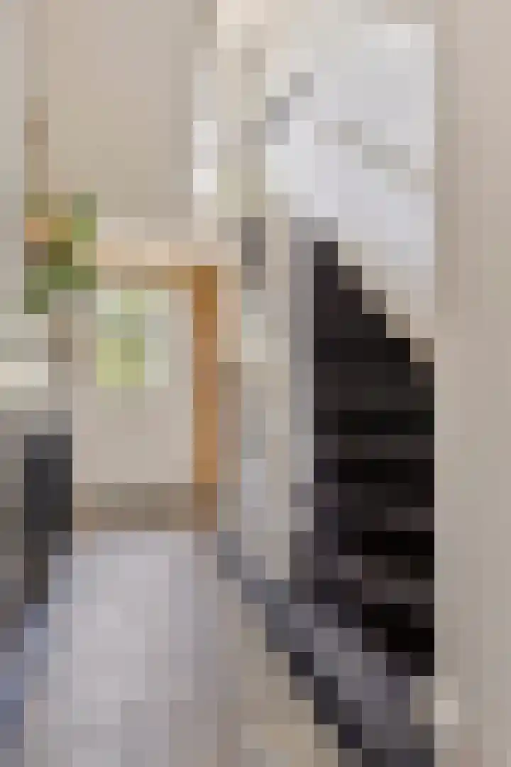 Burgemeester van Vleutenstraat 8 Zalk thumbnail 7