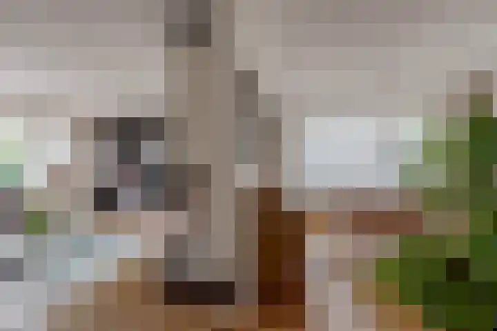 Burgemeester Van Waninglaan 12 Krimpen aan den IJssel thumbnail 18