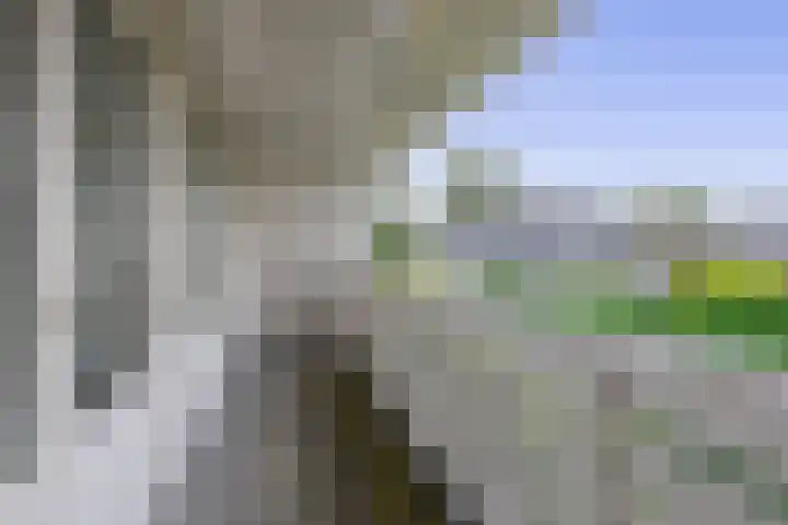 Burgemeester Van Waninglaan 12 Krimpen aan den IJssel thumbnail 32