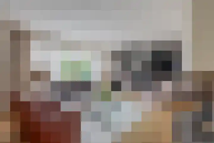 Burgemeester Van Waninglaan 12 Krimpen aan den IJssel thumbnail 4