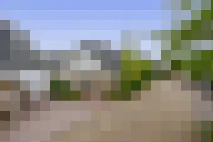 Burgemeester Van Waninglaan 12 Krimpen aan den IJssel thumbnail 7