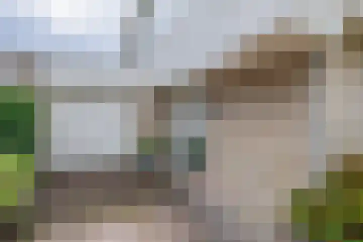 Burgemeester Van Waninglaan 12 Krimpen aan den IJssel thumbnail 8