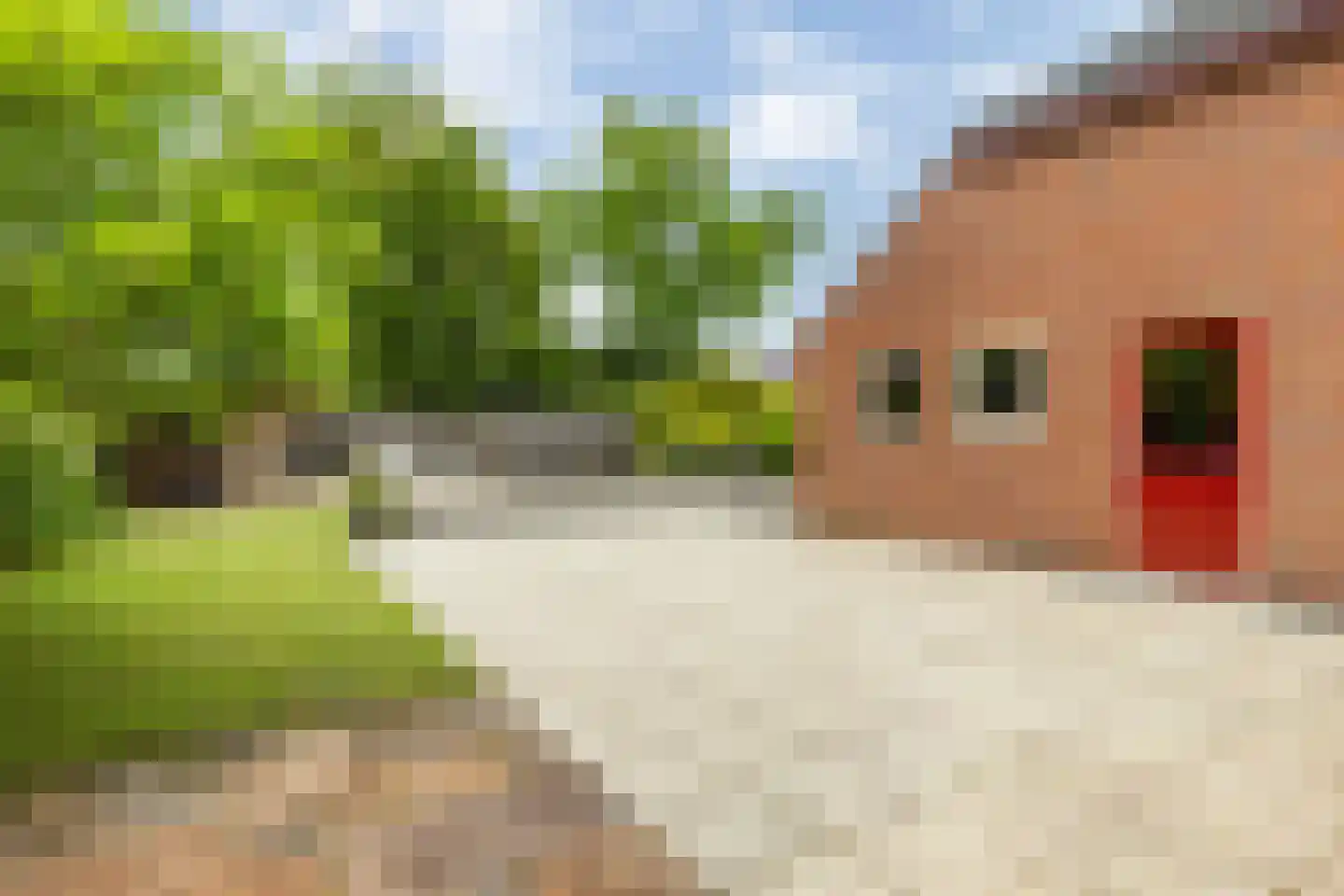 Burgemeester van Waninglaan 76 Leek thumbnail 31