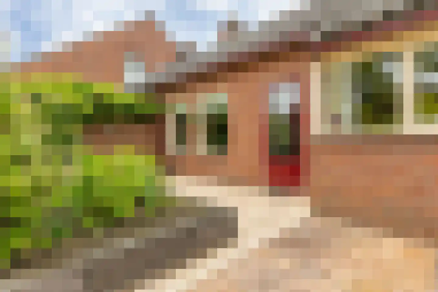 Burgemeester van Waninglaan 76 Leek thumbnail 38
