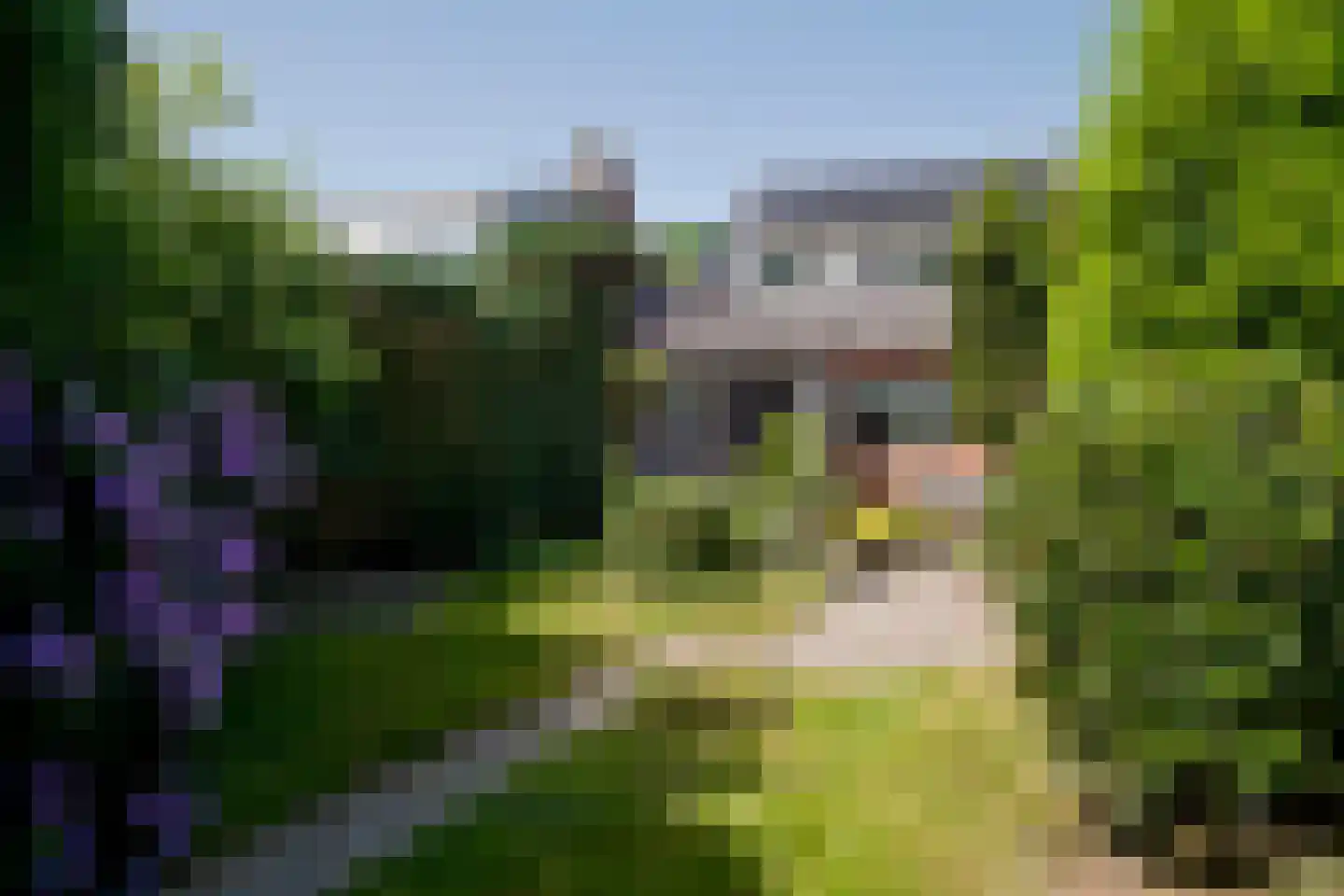 Burgemeester van Waninglaan 90 Leek thumbnail 46