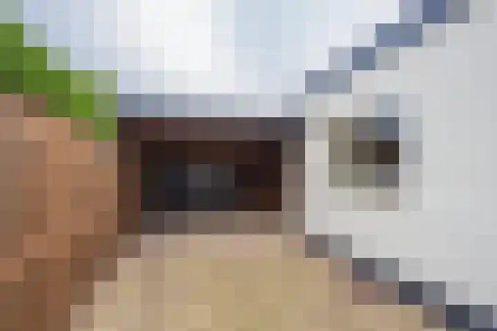 Burgemeester van Welderenstraat 9 Tiel thumbnail 12