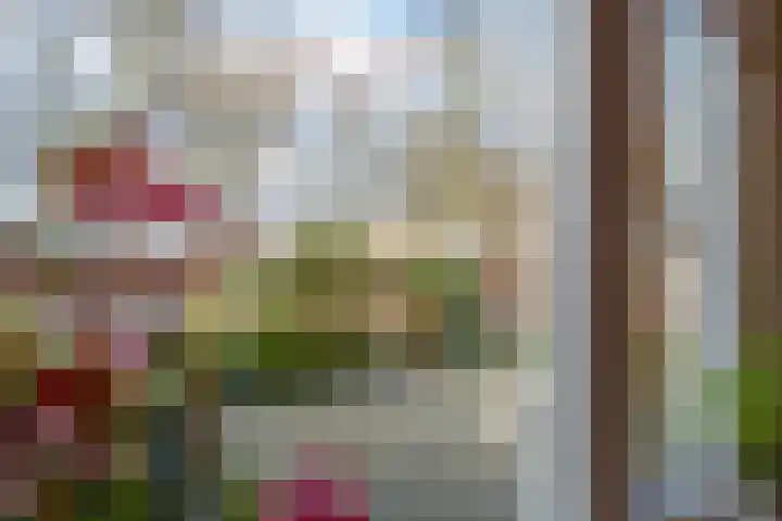 Burgemeester van Welderenstraat 9 Tiel thumbnail 21