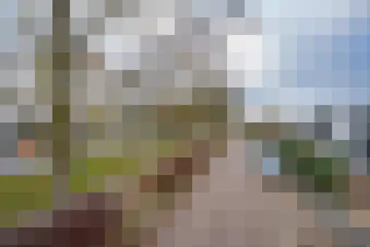 Burgemeester van Welderenstraat 9 Tiel thumbnail 4