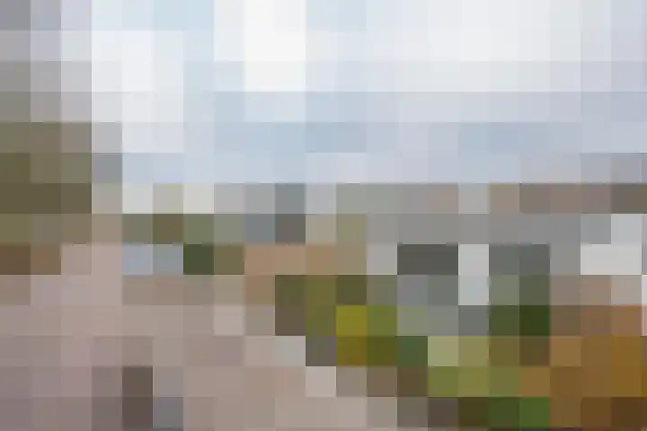 Burgemeester van Welderenstraat 9 Tiel thumbnail 5