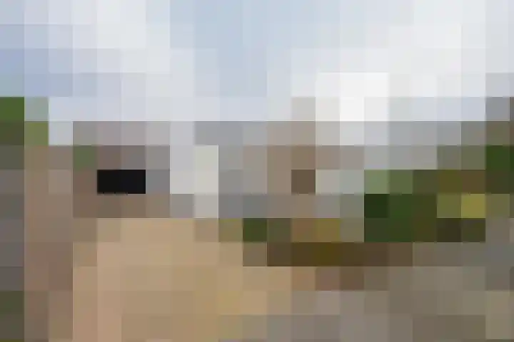 Burgemeester van Welderenstraat 9 Tiel thumbnail 6