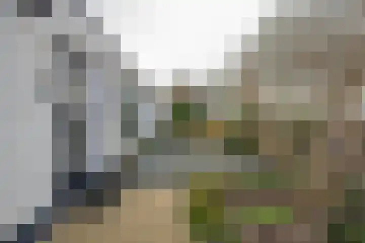 Burgemeester van Welderenstraat 9 Tiel thumbnail 7