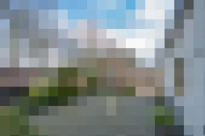 Burgemeester van Welderenstraat 9 Tiel thumbnail 9