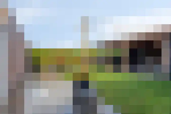 Burgemeester van Weringstraat 68 Oude Pekela thumbnail 44