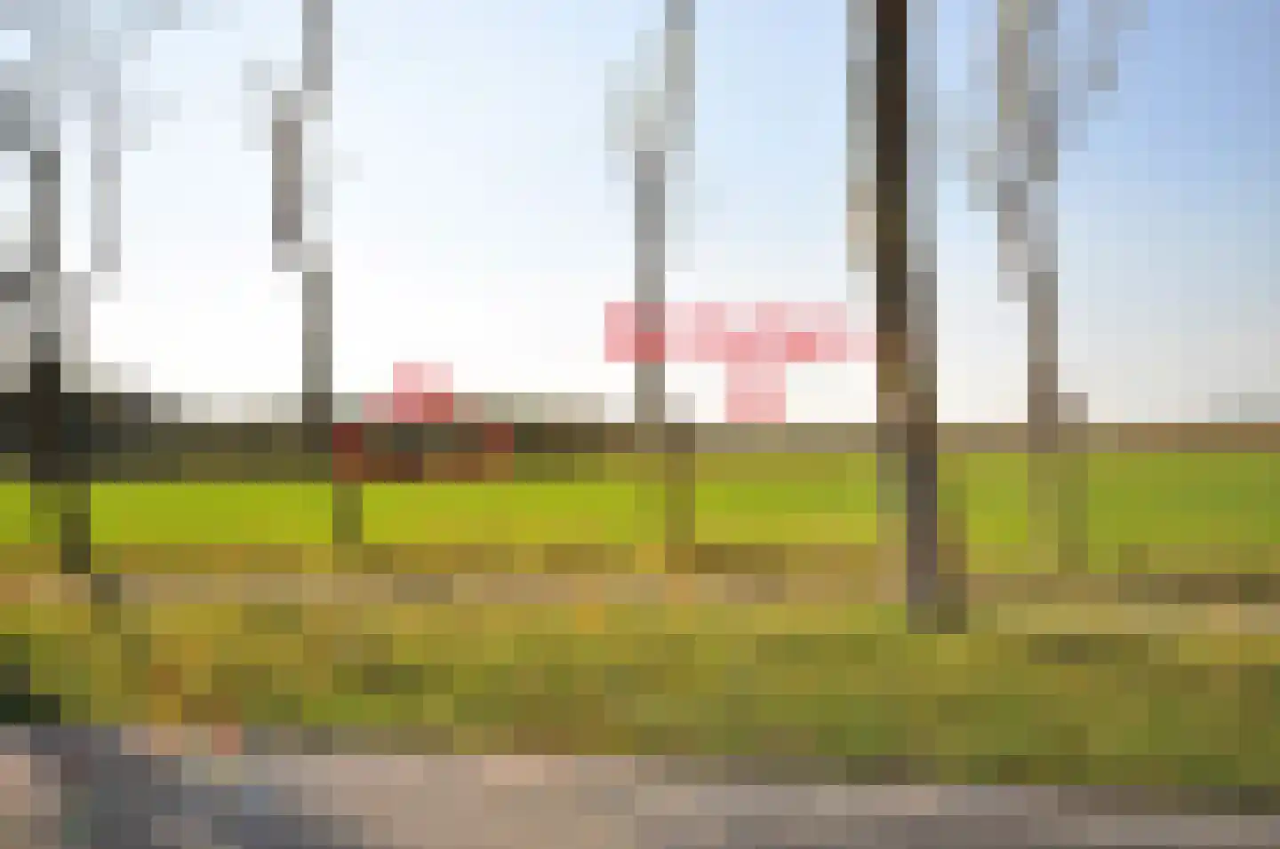 Burgemeester van Woelderenlaan 100 2 Vlissingen thumbnail 24