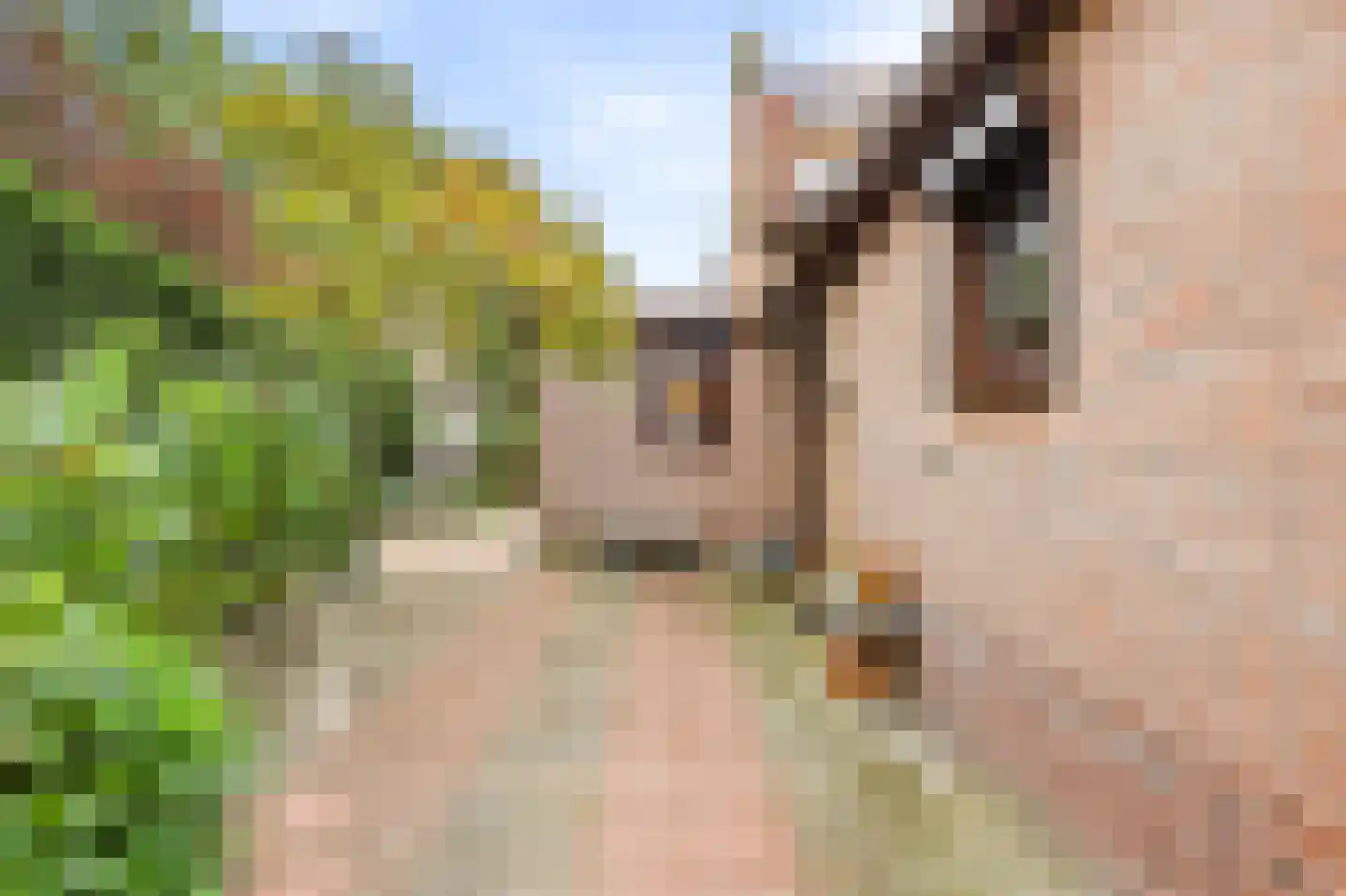 Burgemeester van Woelderenlaan 20 Vlissingen thumbnail 35