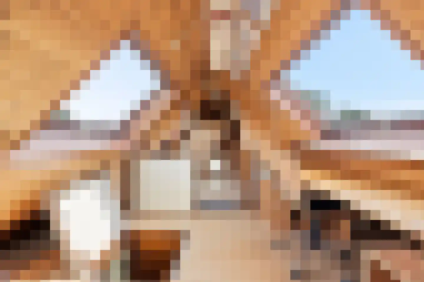 Burgemeester van Woelderenlaan 20 Vlissingen thumbnail 44