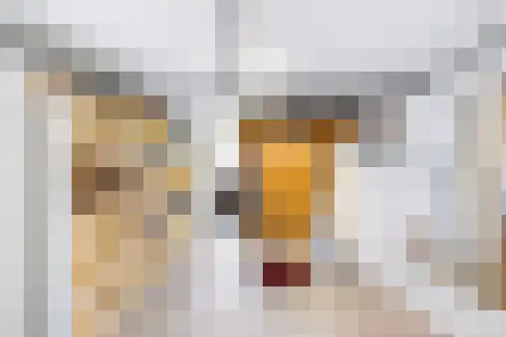 Burgemeester van Woelderenlaan 58 Vlissingen thumbnail 20