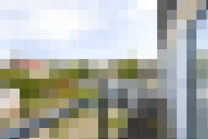 Burgemeester van Woelderenlaan 58 Vlissingen thumbnail 36