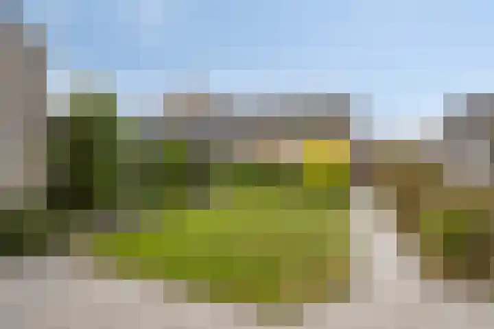 Burgemeester van Zuijenstraat 23 Breskens thumbnail 20