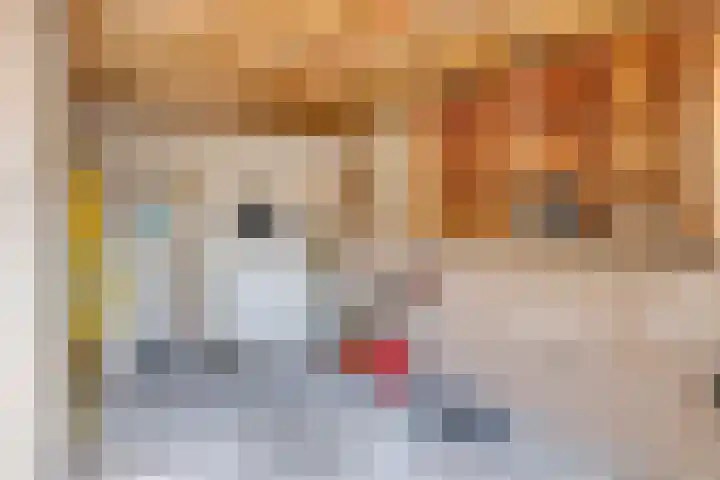 Burgemeester van Zuijenstraat 23 Breskens thumbnail 22