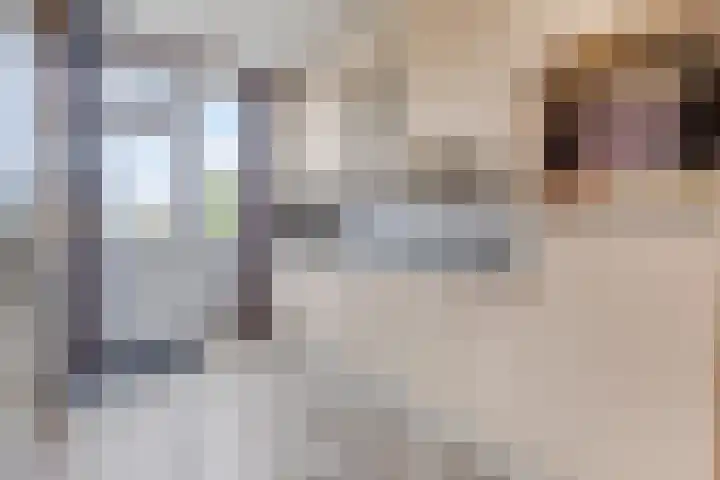 Burgemeester van Zuijenstraat 23 Breskens thumbnail 8