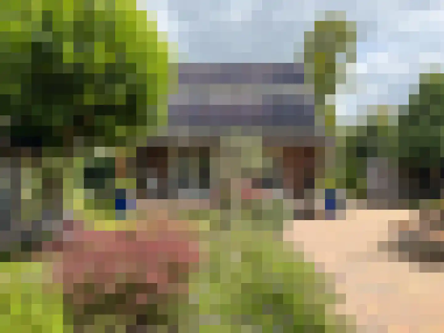 Burgemeester vd Boschlaan 23 Leersum thumbnail 22